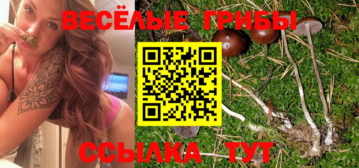 Конаково  Галлюциногенные грибы MAGIC MUSHROOMS  Вход с VPN  Псилоцибиновые грибы Cubensis 
